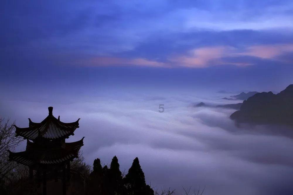 僵尸维京